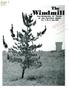 Journal/Magazine/Newsletter: The Windmill, Volume 10, Number 11, July 1984
