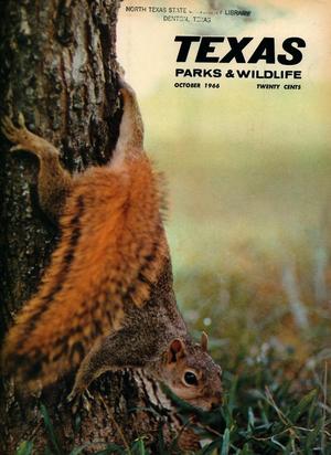 Primary view of object titled 'Texas Parks & Wildlife, Volume 24, Number 10, October 1966'.