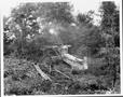 Primary view of Tree crusher clearing land, Box 3, Museum,B17
