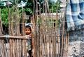 Primary view of [Chidren Behind a Residential Fence]