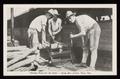 Postcard: [Sawing Wood for the Cook, Camp MacArthur]