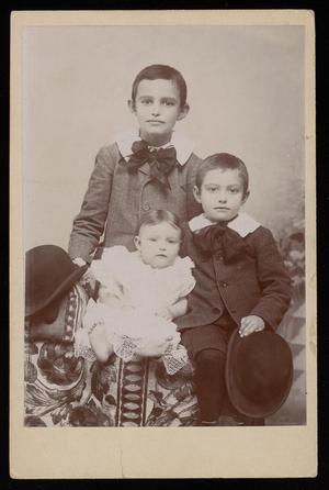 Primary view of object titled '[Portrait of Three Unknown Children]'.