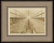 Thumbnail image of item number 1 in: '[Goree Greenhouses, Interior View]'.