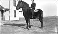 Photograph: [Albert Palm riding a horse]