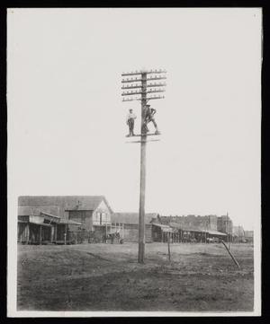 Primary view of object titled '[Frank Sholte Standing on a Telegraph Pole]'.