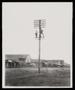Photograph: [Frank Sholte Standing on a Telegraph Pole]