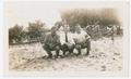 Thumbnail image of item number 1 in: '[Ross Copper, Harry Hughes, and Robert Reynolds at Waikiki Beach]'.