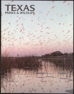 Primary view of object titled 'Texas Parks & Wildlife, Volume 38, Number 12, December 1980'.