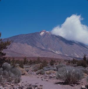 Primary view of object titled '[El Teide and rock formations from Teide National Park, Canary Islands] BRIT-A-AR003-001-05-059'.