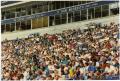 Thumbnail image of item number 1 in: '[North Texas Football Spectators, 1995]'.