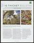 Journal/Magazine/Newsletter: Big Thicket Bulletin, Number 150, April-June 2021