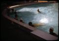 Photograph: [Photograph of People in Swimming Pool]