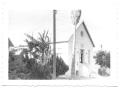 Photograph: [Side View of Palm Trees Beside a Church House]
