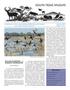 Journal/Magazine/Newsletter: South Texas Wildlife, Volume 17, Number 2, Summer 2013