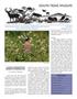 Journal/Magazine/Newsletter: South Texas Wildlife, Volume 18, Number 3, Fall 2014