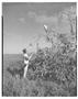 Primary view of [Negative of a Man Reaching Up to a Bird]