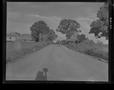 Primary view of [Negative of a Soldier Coming Down a Path on Horseback]