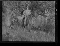 Primary view of [Negative of a Soldier Emerging Form Trees on Horseback, #1]