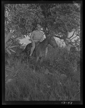 Primary view of object titled '[Negative of a Soldier Emerging Form Trees on Horseback, #3]'.