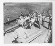 Photograph: [Wounded Soldiers Being Moved Off Transport Boats]