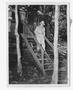 Photograph: [William Franklin Knox Walking Down Stairs]