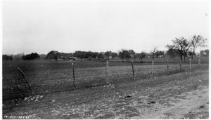 Primary view of object titled '[Proposed Warehouse Site U.S. Highway 81 in Georgetown]'.