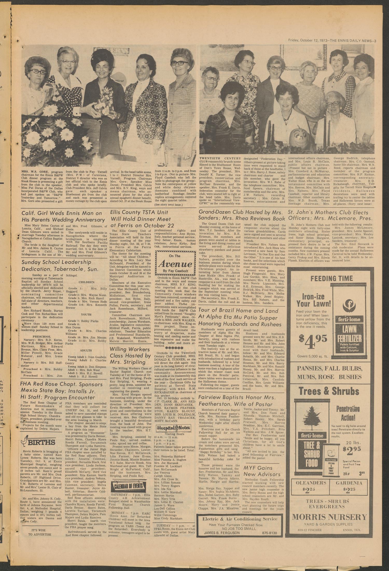 The Ennis Daily News (Ennis, Tex.), Vol. 81, No. 241, Ed. 1 Friday, October 12, 1973
                                                
                                                    [Sequence #]: 3 of 8
                                                