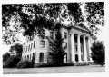 Photograph: [Fort Bend County Courthouse. Photo taken from under a tree.]