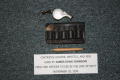Photograph: [Image of Arlington Police Officer James E. Johnson's cartridge holde…