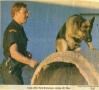 Primary view of [Arlington Canine Officer David Kruckemeyer training with Timo, newspaper clipping, 1987]