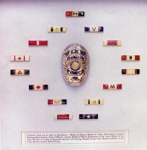 Primary view of object titled '[APD badges and decorations]'.