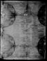 Thumbnail image of item number 3 in: 'The San Antonio Ledger and Texan. (San Antonio, Tex.), Vol. 9, No. 46, Ed. 1 Saturday, May 19, 1860'.
