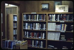 Primary view of object titled '[Bookshelves of Large Print Books #2]'.