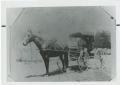 Primary view of [Man with horse drawn taxi]