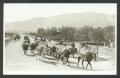 Postcard: [Pack mules in parade]