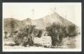 Postcard: [Yucca Plants and Mountains]