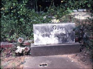 Primary view of object titled '[Grave of David E. Hawkins Jr, Marshall]'.