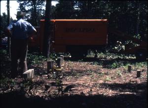 Primary view of object titled '[Cemetery Cleanup, Marshall]'.