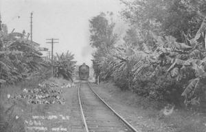 Primary view of object titled '[Banana Grove and Train]'.