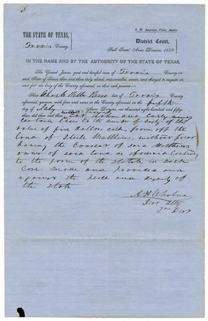 Primary view of object titled 'Documents pertaining to the case of The State of Texas vs. Charles Reese, cause no. 333, 1853'.