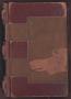 Book: [State Bar Docket, Criminal County Court, Cooke County, 1876-1885]