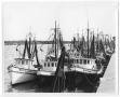Photograph: [Fleet of Shrimp Boats]