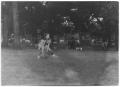Primary view of [Photograph of a Girl Playing Softball in Reverchon Park]