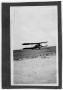 Photograph: [First airplane to land in Wellington]