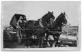 Postcard: [Horses and buggy]