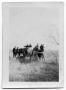 Photograph: [Horses pulling wagon]