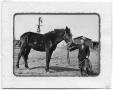 Postcard: [Fleet Pruden holding horse reins]