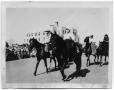 Photograph: [Horses in parade]
