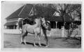 Photograph: Ruth Roach Salmon With a Horse in Nocona, Texas