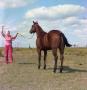Thumbnail image of item number 1 in: '[Woman with Horse]'.